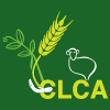 CLCA